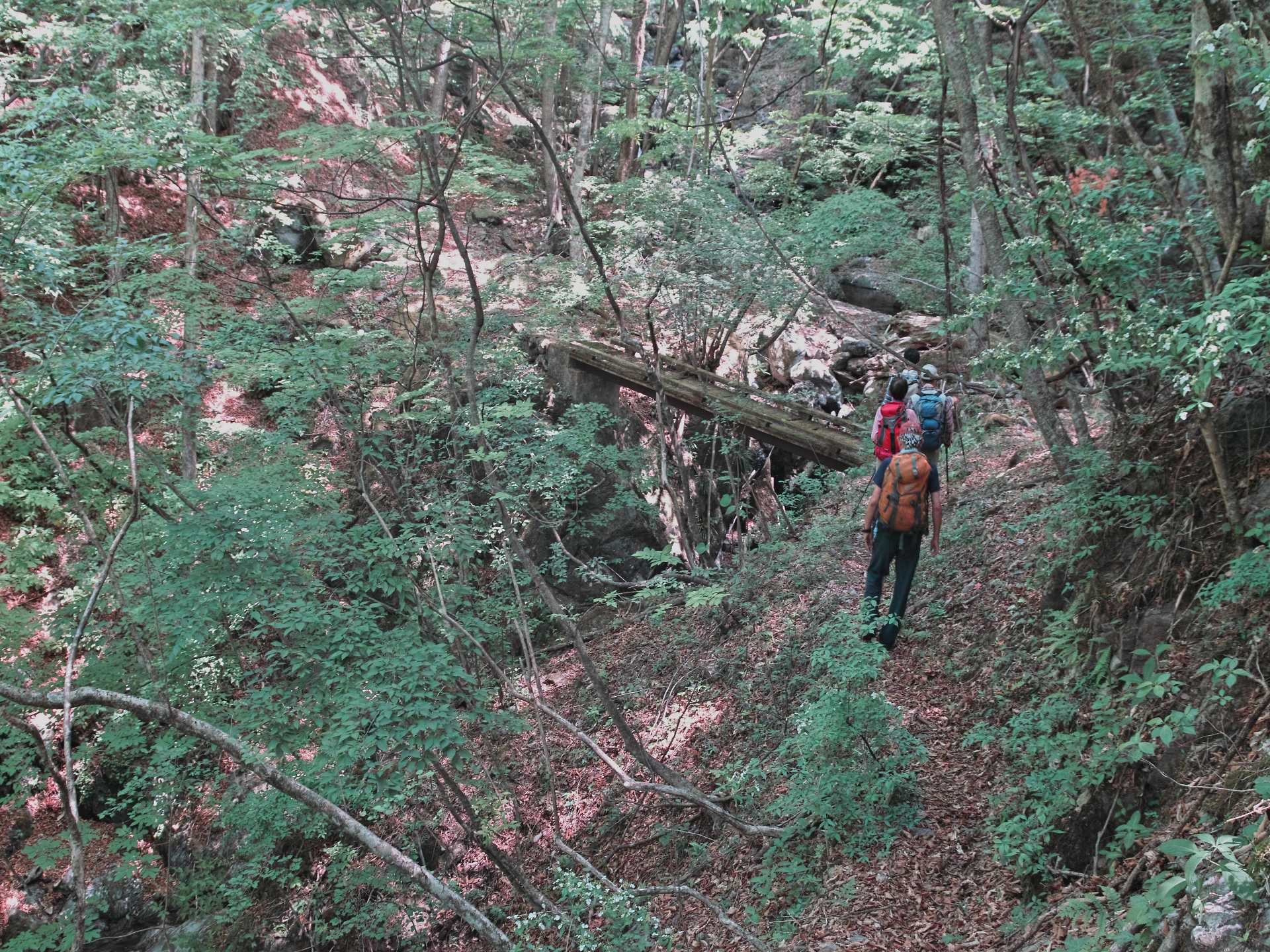 c0008948_16394057.jpg