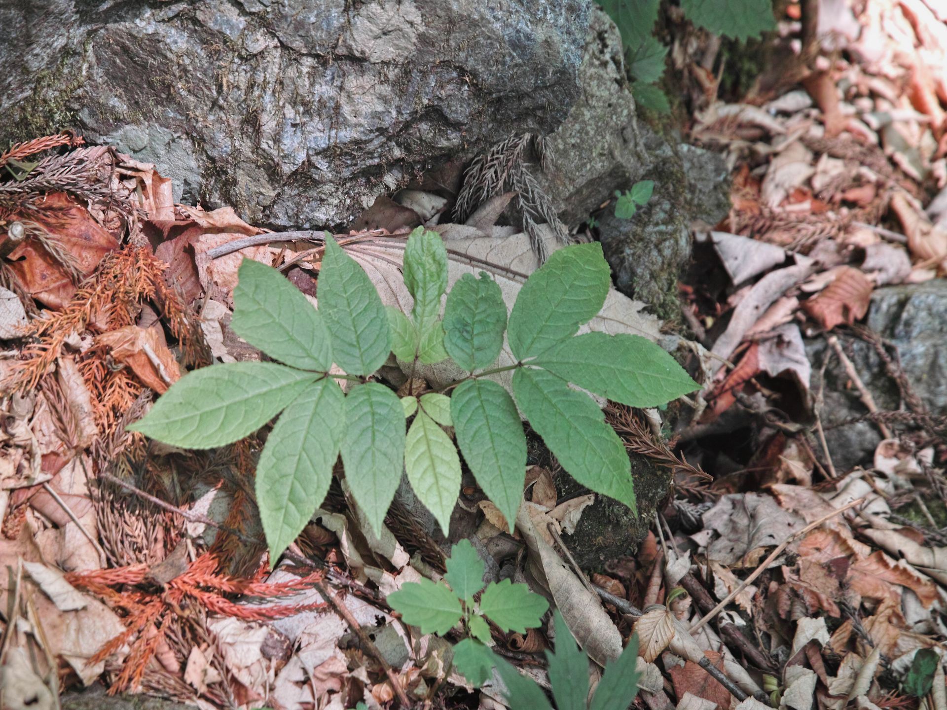 c0008948_16452513.jpg