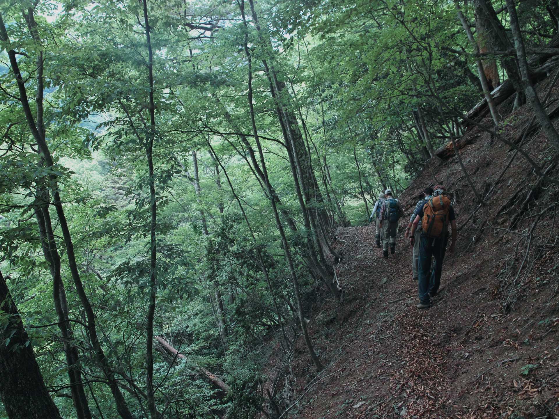 c0008948_1731016.jpg