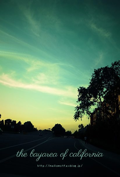 back to CA 2013 - at last! 遂にベイエリアに到着! -_d0124248_2063068.jpg