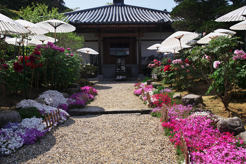 春の花の寺・當麻寺西南院（前編）_f0155048_22592772.jpg