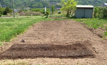 b0025850_226175.jpg