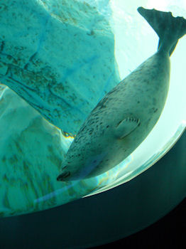 a0235451_11454991.jpg