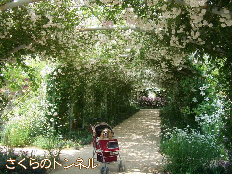 b0279153_0433653.jpg