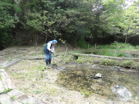 ささゆりまつり第３日　　in　　うみべの森_c0108460_21374279.jpg