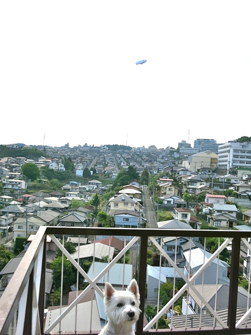 音もなく、やってきましたぁ。_c0260460_932361.jpg