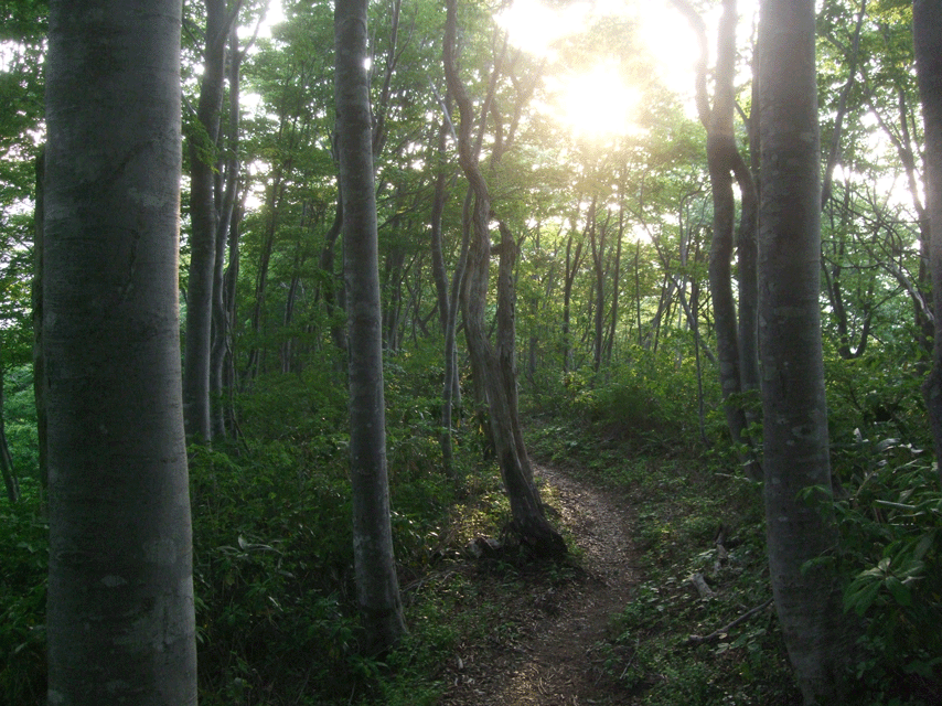 d0094868_7295360.gif
