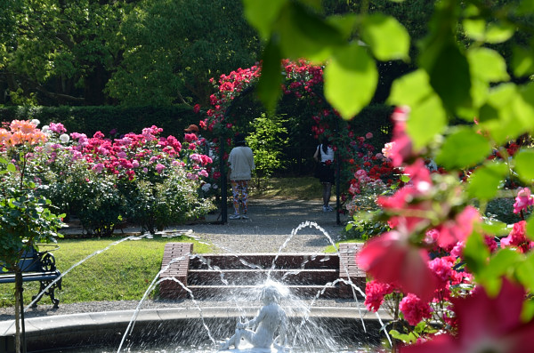 パレスのふたつの花園_b0170969_0104446.jpg