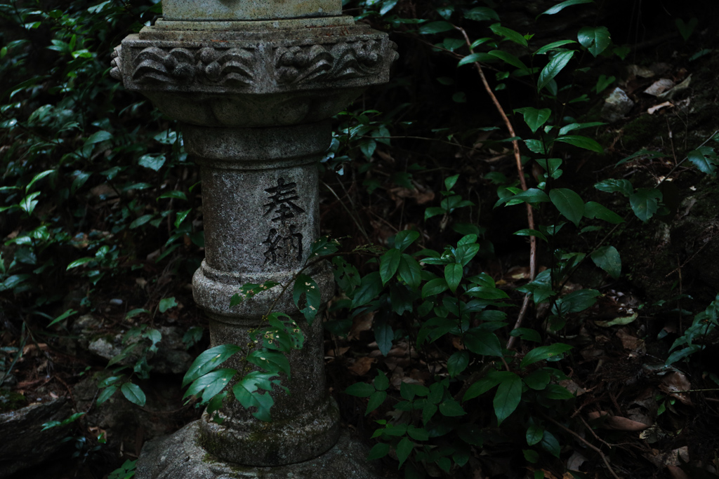 f0167977_1051327.jpg