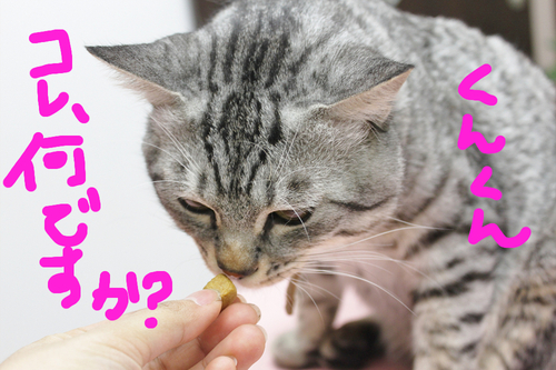 受付のおやつ♥_c0245679_19503744.jpg