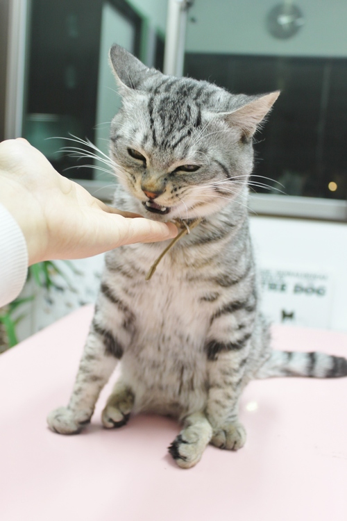受付のおやつ♥_c0245679_19514922.jpg