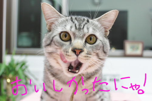 受付のおやつ♥_c0245679_19595082.jpg