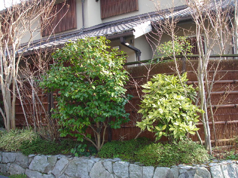 e0267979_5592422.jpg