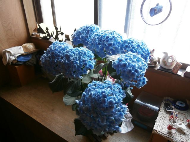 f0130894_223154.jpg
