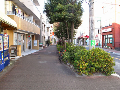 c0163001_73785.jpg