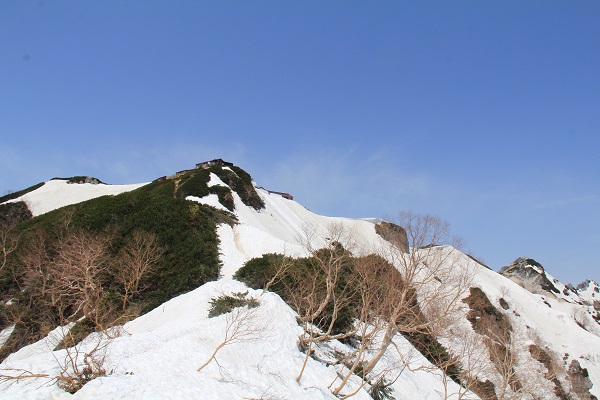 五月の燕岳☆「オコジョを見ました！ホントですよー…」いました！！_a0158702_1844256.jpg