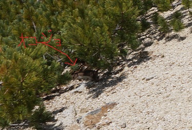 a0158702_18445545.jpg