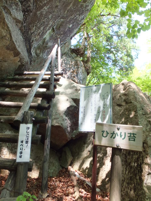 笠置山のヒカリゴケ自生地_a0271502_1423047.jpg