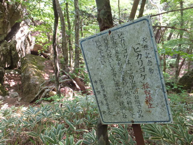 笠置山のヒカリゴケ自生地_a0271502_14252.jpg