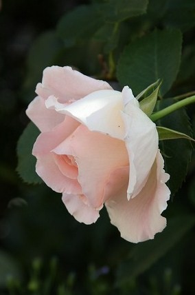 a0123003_8414281.jpg