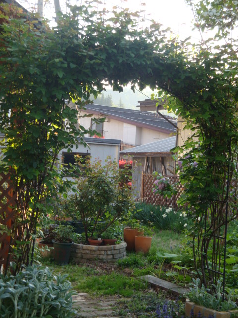 e0175905_134381.jpg