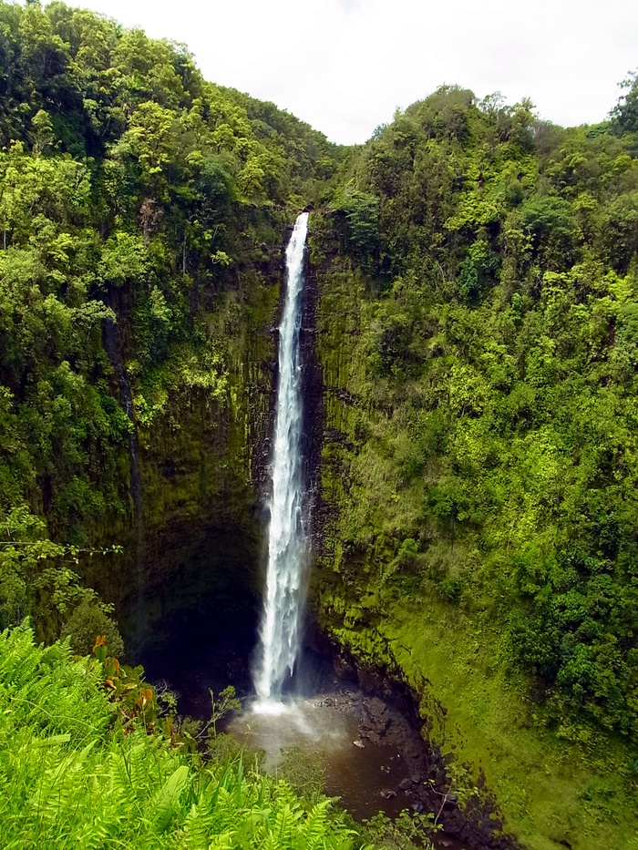 ハワイ島のアカカ滝_d0116009_12111674.jpg
