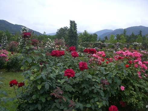 フレッシュ・ピア＆混声♪青葉　ジョイントバス旅行_c0098811_23192663.jpg