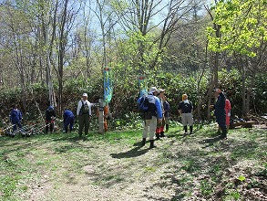 平成２５年５月２６日（日）　北の沢山林　参加：２１名　天候：快晴_c0173813_1751279.jpg