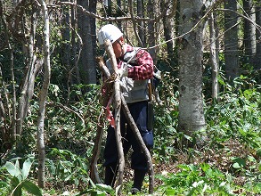 平成２５年５月２６日（日）　北の沢山林　参加：２１名　天候：快晴_c0173813_1801295.jpg