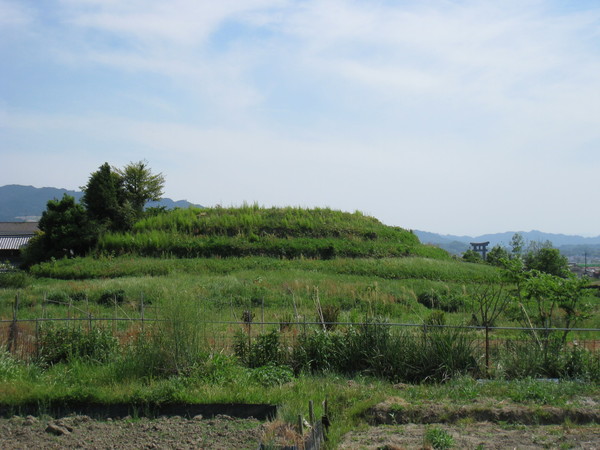d0287413_13271047.jpg