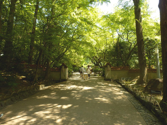 大山崎を歩く1 大山崎山荘美術館_e0048413_220640.jpg
