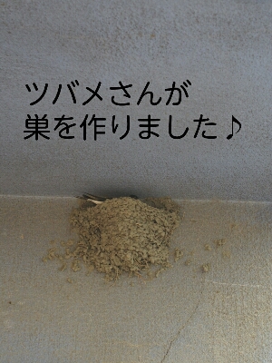 f0239713_9244010.jpg