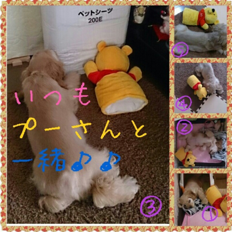 I love POOH_c0294716_147974.jpg