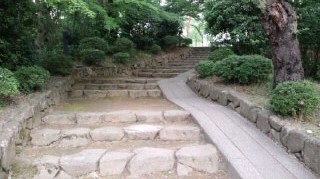e0091220_77928.jpg