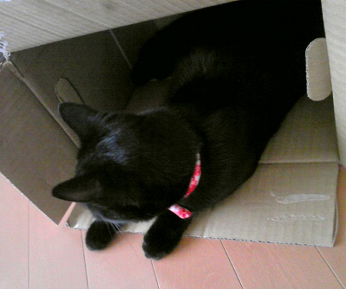 c0280322_011689.jpg