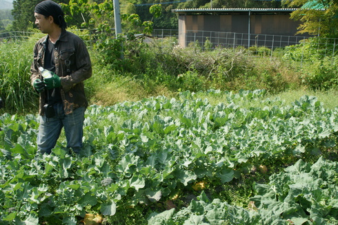 野菜ソムリエ　福岡コミュニテｲ勉強会　吉野ヶ里_e0153322_857817.jpg