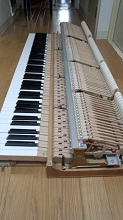 e0043723_11154069.jpg