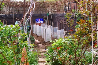 f0170524_1841599.jpg