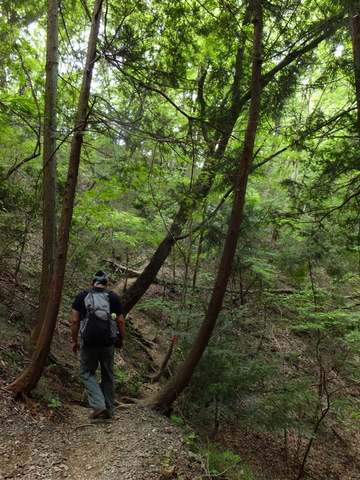 岩殿山　〜5月19日(日)〜　その③_b0281732_19513861.jpg