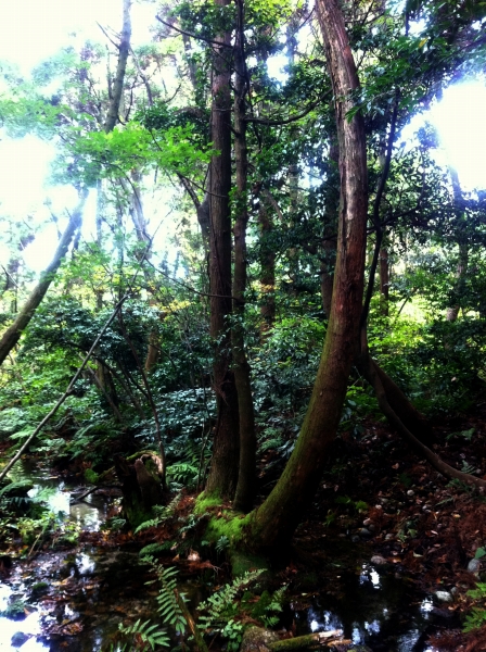 f0029038_22222440.jpg