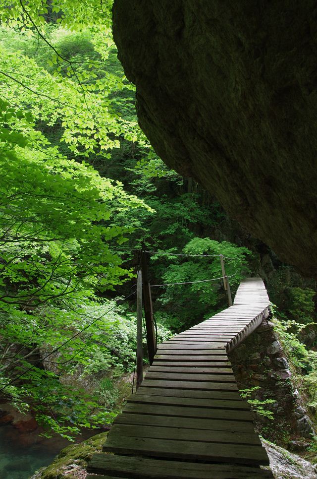 行くところがないのでちょこっと小田深山 軟弱足 の山歩き
