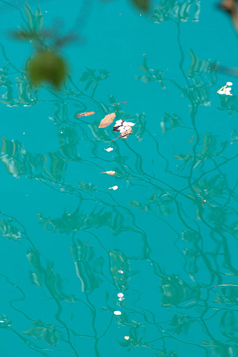 c0067040_2343834.jpg