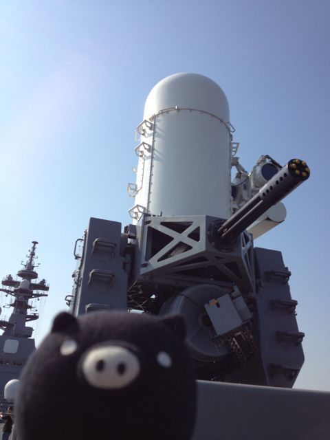 f0029541_8161458.jpg