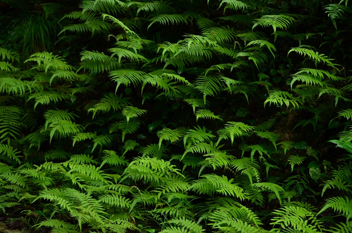 a0146442_8323540.jpg