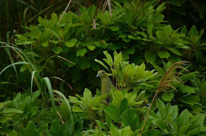 a0146442_837318.jpg