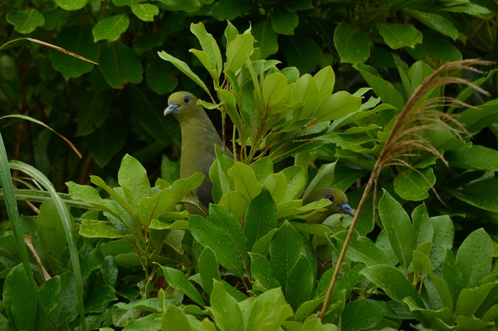 a0146442_8375219.jpg
