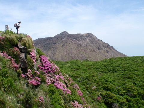 普賢岳　国見岳　ミヤマキリシマ_b0168843_19113220.jpg