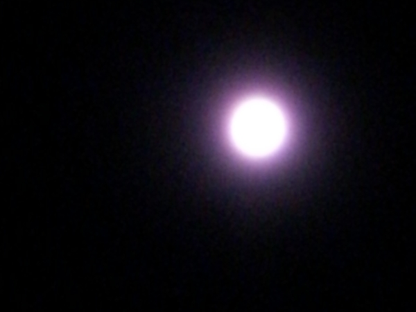 c0264343_1774811.jpg