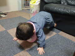 d0070047_2115144.jpg