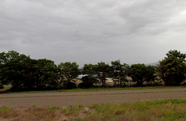 d0102949_185847.jpg